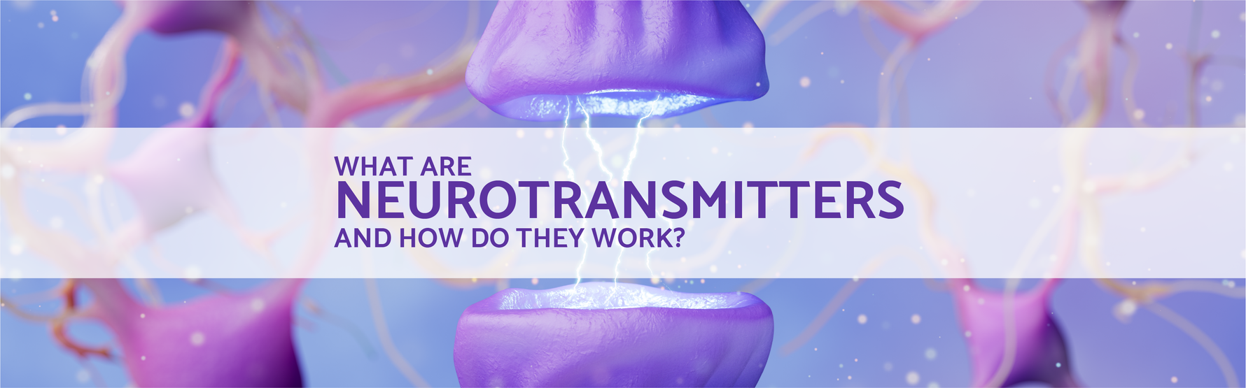 What Are Neurotransmitters and How Do They Work?