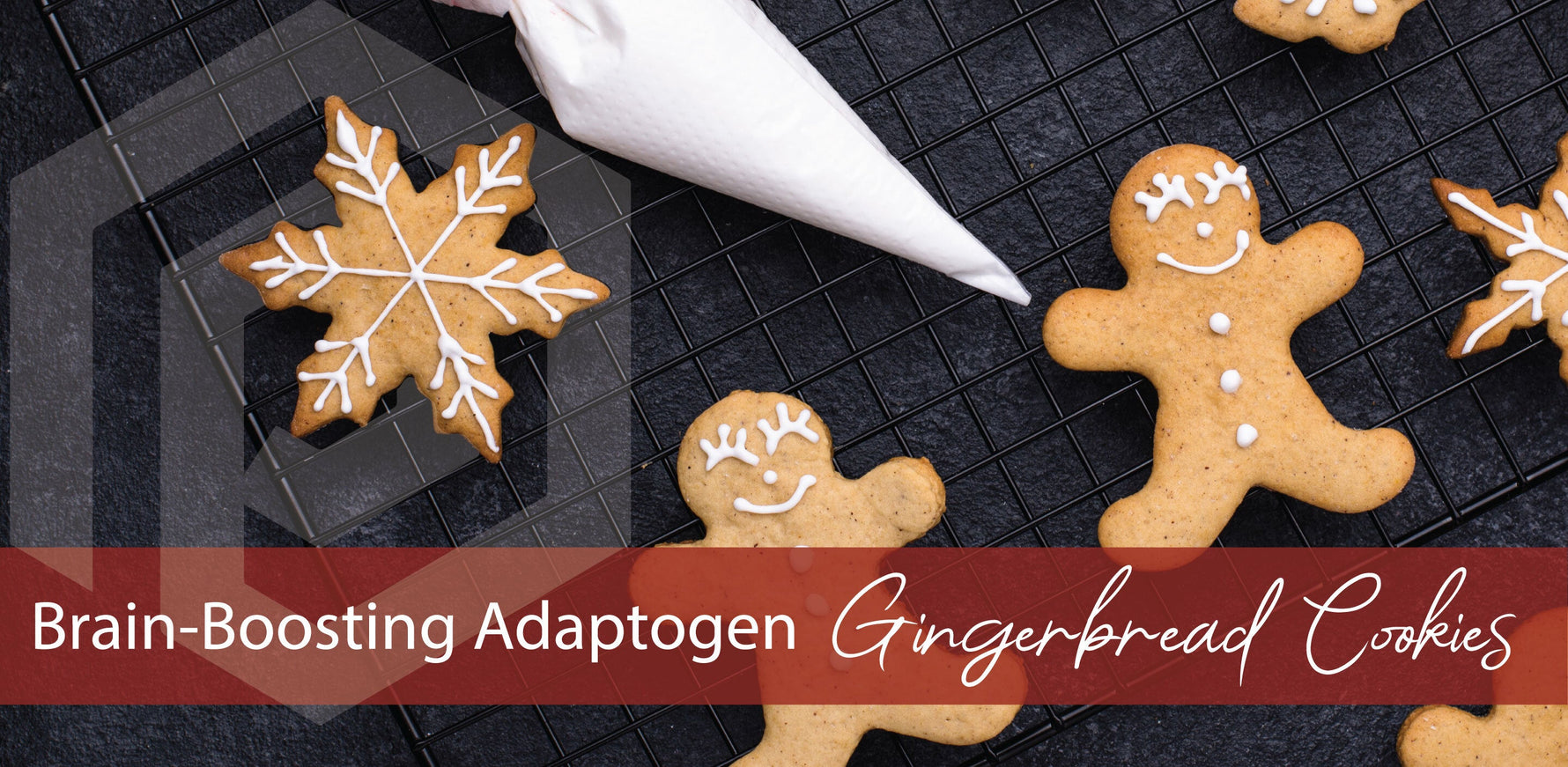 Brain-boosting adaptogen gingerbread cookies recipe - NeuroActive blog