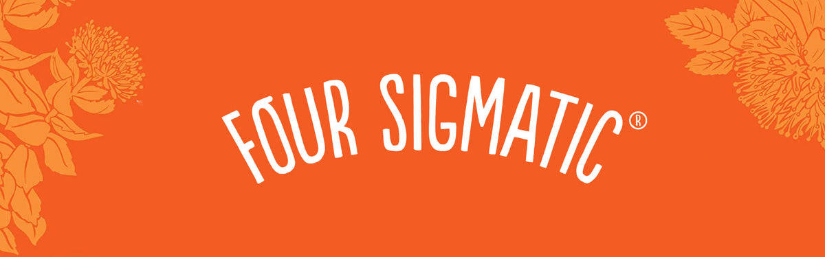Four Sigmatic mushroom elixir - lion's mane - NeuroActive blog