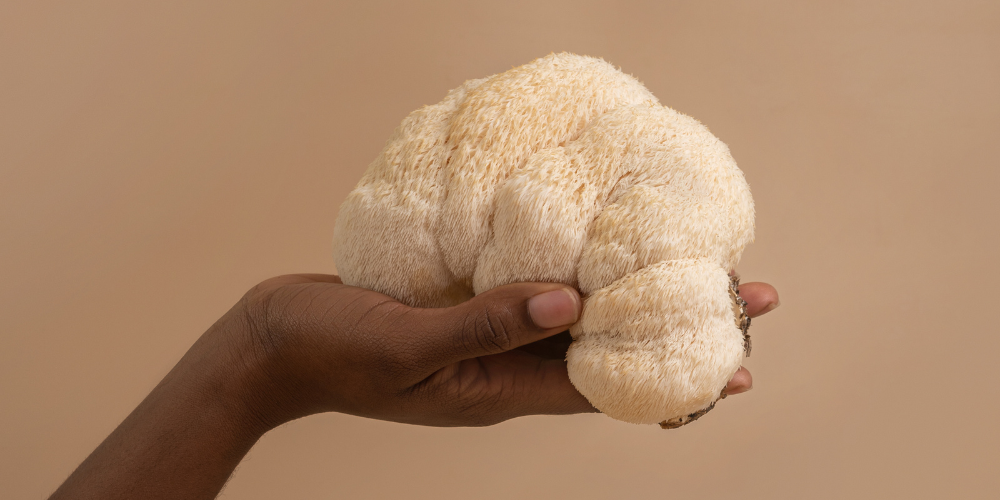 Best lion's mane supplement in South Africa 2026 - NeuroActive blog