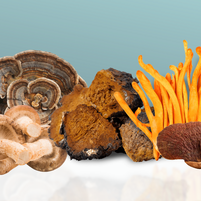 Medicinal Mushrooms for Immunity