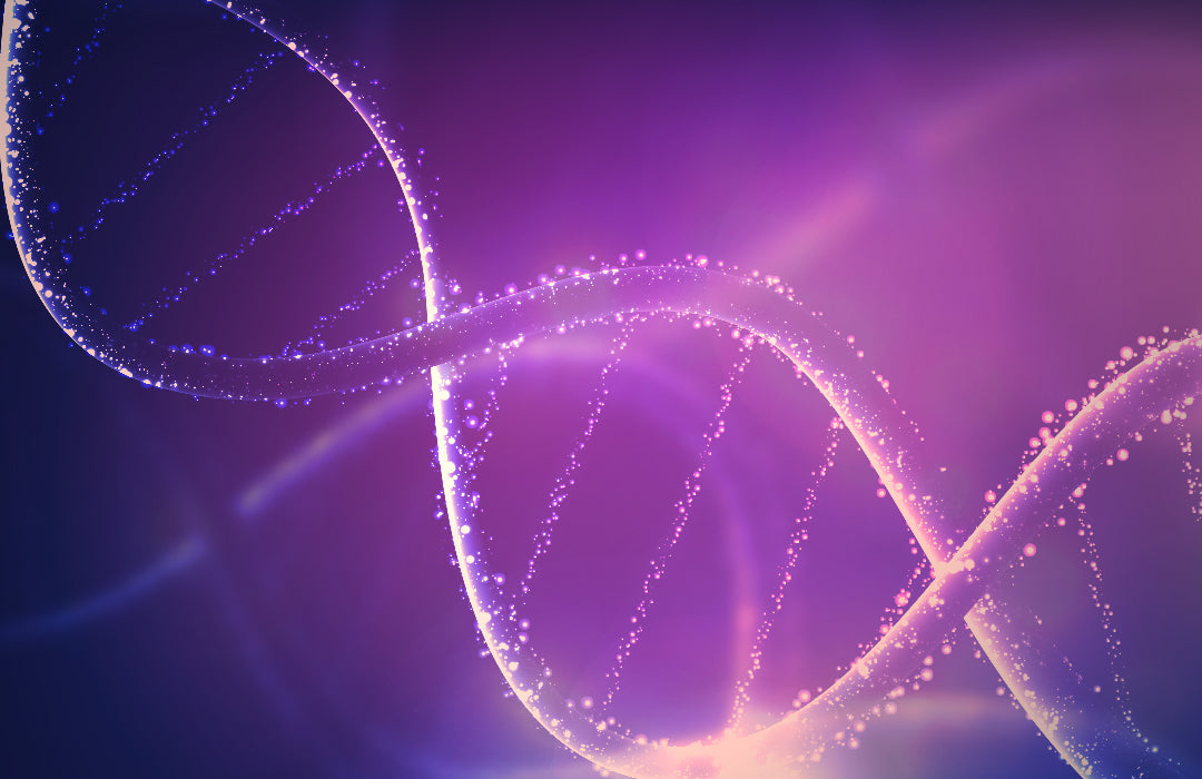 What are nootropics - overview guide - NeuroActive blog
