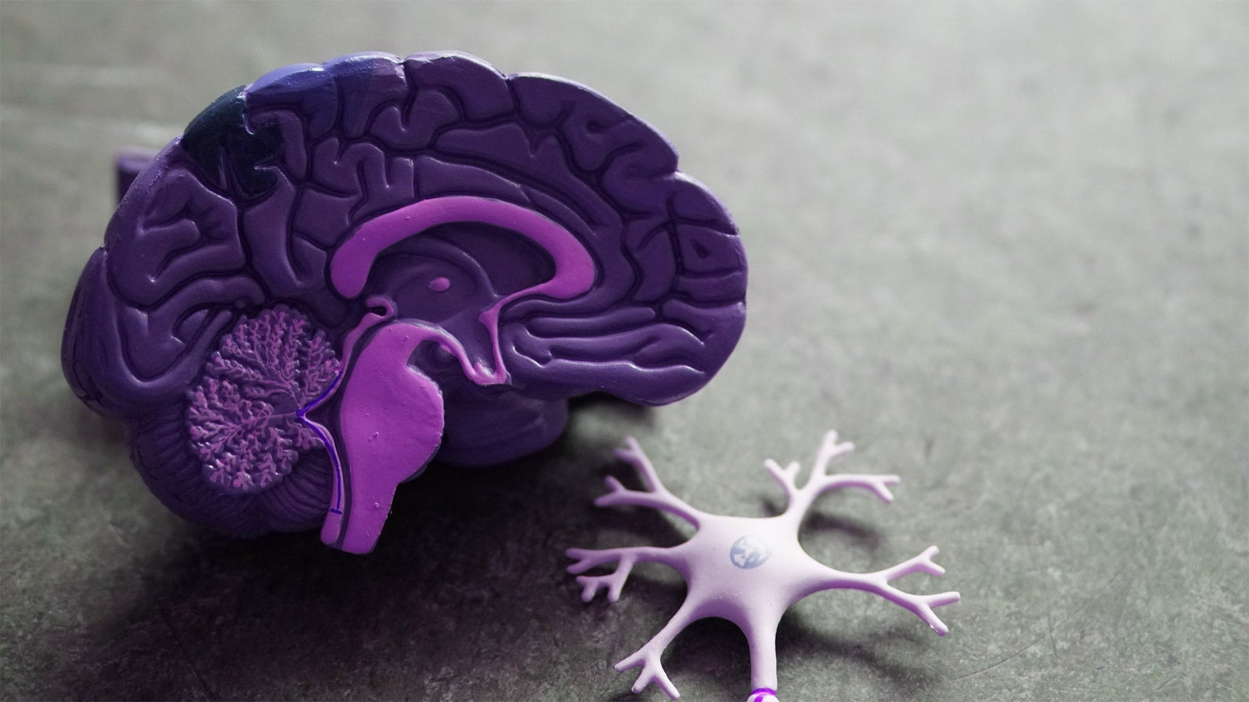 Best nootropics of 2019 - NeuroActive blog