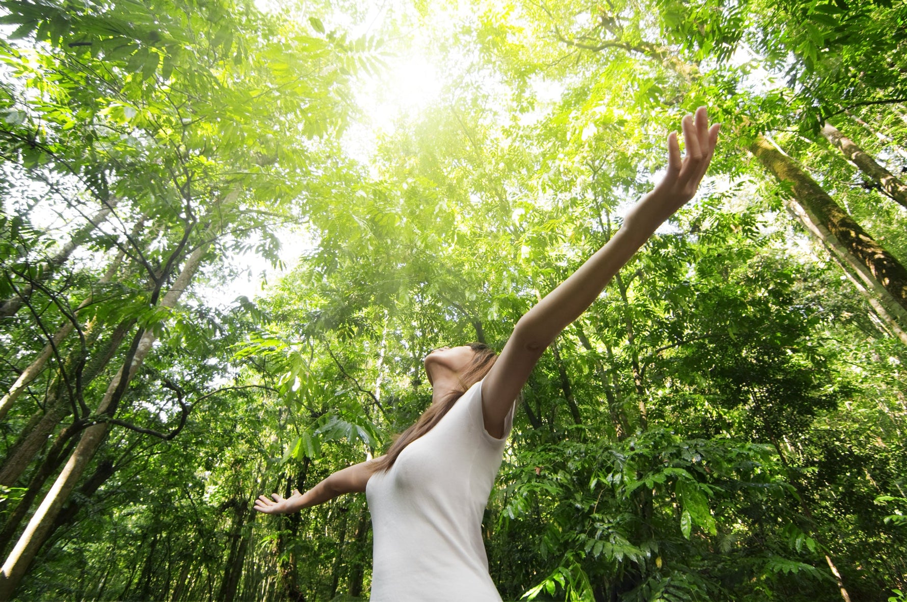 The best natural nootropics - NeuroActive blog